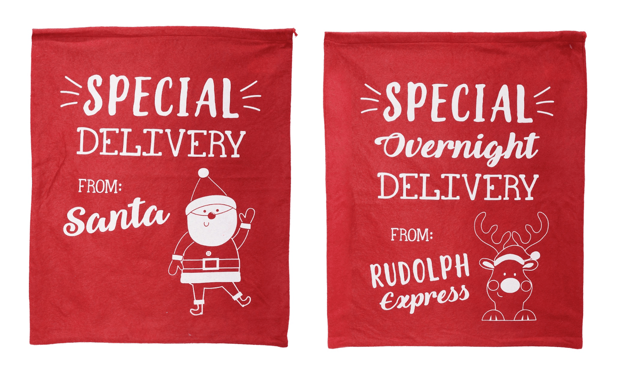 Special Delivery Felt Sack (50x60cm)