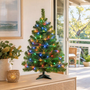 50 LED Battery Fairy Lights Multi styled in an Australian Christmas setting