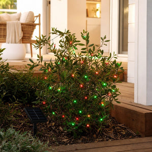 LED 100 Solar 2F Fairy Lights Red and Green styled in an Australian Christmas setting