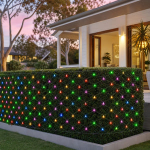 LED Multicoloured Net Light (9.6m) styled in an Australian Christmas setting