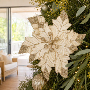 Champagne Truffle Poinsettia Clip styled in an Australian Christmas setting