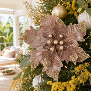 Mocha Truffle Poinsettia Clip styled in an Australian Christmas setting