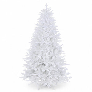 The Royal Arctic Spruce Tree 7ft (2.1m)