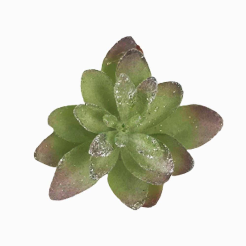 Cactus Succulent Clip Green/Silver SML