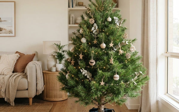 Fresh-cut real Christmas tree with warm lights in an Australian living room