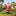 Giant inflatable Santa Christmas decoration in a front yard