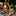 Illuminated outdoor Santa and reindeer figures on a front lawn