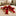 Elegant red velvet and gold satin Christmas bows with ribbon