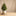Potted & Tabletop Trees