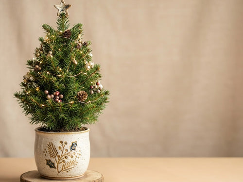 Potted & Tabletop Christmas Trees — Small Christmas Trees