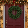 Colorado Frosted Wreath (76cm)