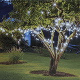 800 LED Solar Lights Cool White (36m)