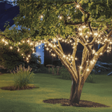 800 LED Solar Lights Warm White (36m)