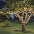800 LED Solar Lights Multicolour (36m)