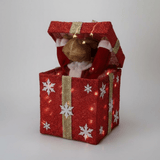 LED Battery Operated Peekaboo Reindeer Present