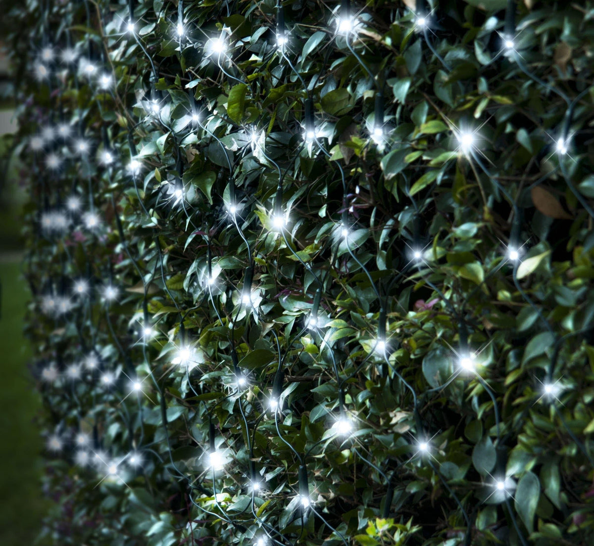 150 LED Solar Net Lights Cool White (2.3m x 1.3m) - View 1