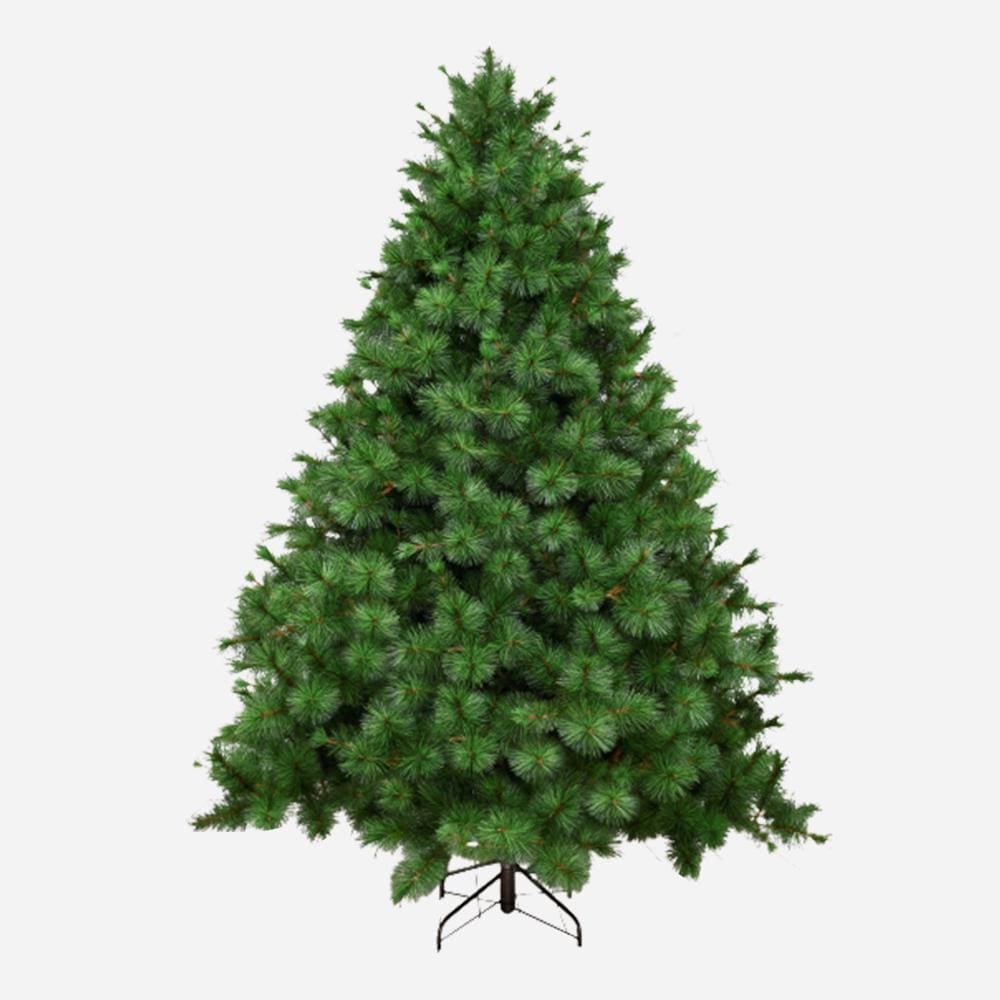 Natural Royal Pine Tree 6ft (1.8m) - View 1
