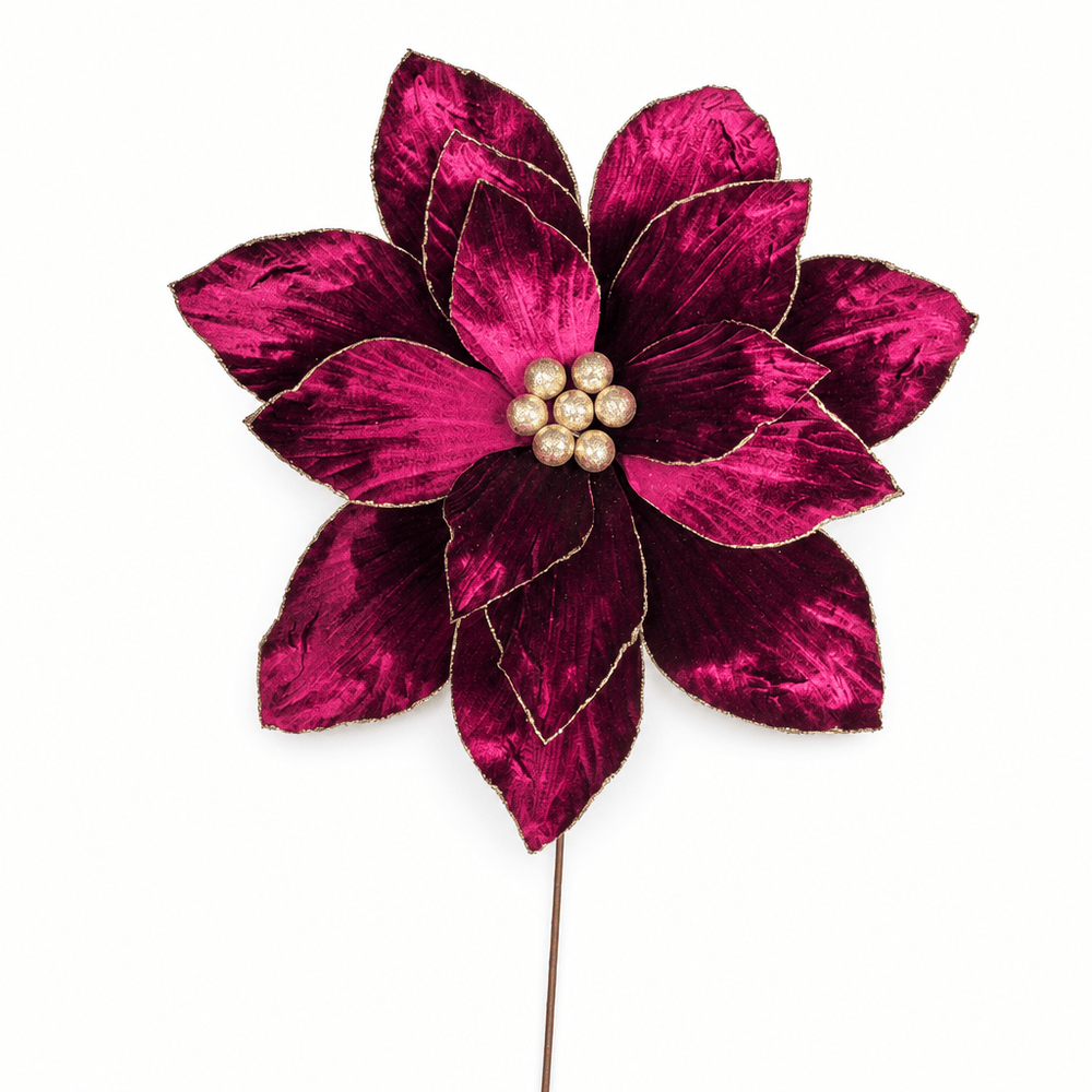 Plum Poinsettia Stem (50cm)