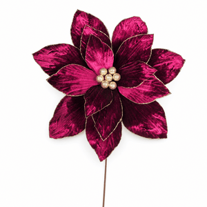 Plum Poinsettia Stem (50cm)