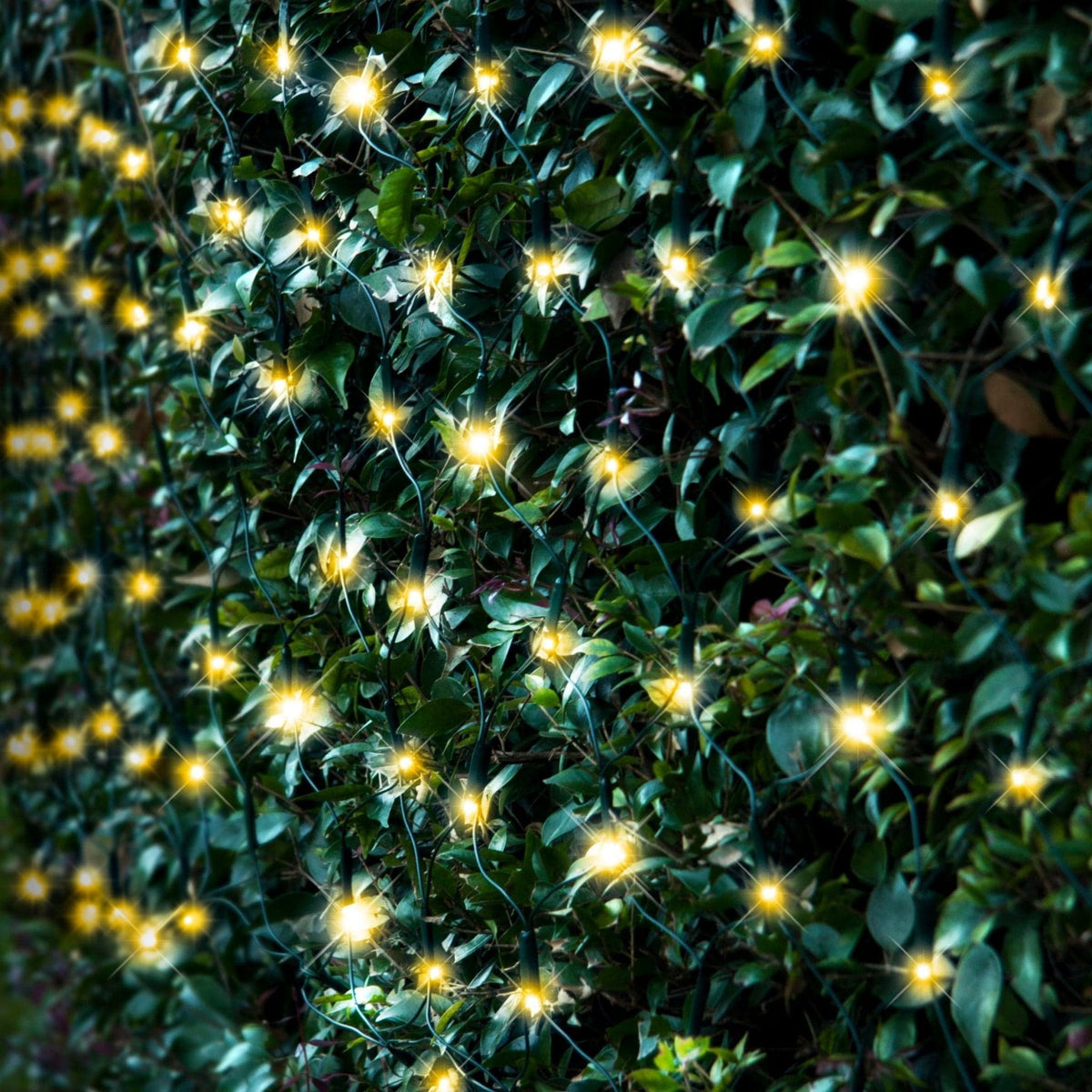 150 Solar LED Net Light Warm White