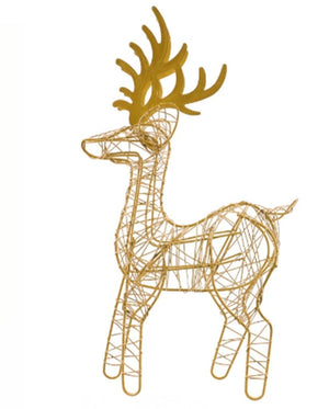 XD0000887-gold.jpg