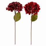 Velvet Hydrangea Stem (46cm) Asst