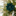 Green Velvet Poinsettia Glitter Stem
