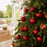 Red Mix Baubles 9pk (6cm)