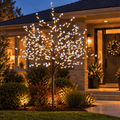 LED Dual Cool-Warm Blossom Tree (2.5m)