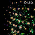 XL0000224-2025.jpg