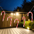 Solar Candy Canes 10 Pack