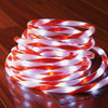 LED Candy Flashing Ropelight (20m)