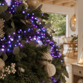 LED 720 Cluster Lights Enchanted (10.4m)