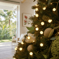 LED Berry Lights Cool and Warm (20m)