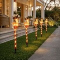 LED Candy Reindeer Path Lights 5pk