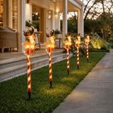 LED Candy Reindeer Path Lights 5pk