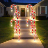 LED Solar Candy Cane with Star Path Lights (4pk)