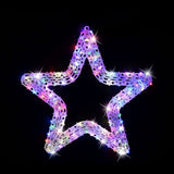 LED Flashing Pin Light Fancy Star Asst (40cm)