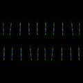 LED Digital Hanging Tubes Multicolour (20pk)