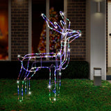 LED Twinkling Feeding Reindeer Multicolour