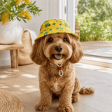 Christmas Doggy Bucket Hat Available in 6 Colors