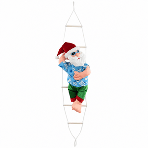 Summer Santa on Hammock