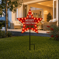 LED Star Stake Light
