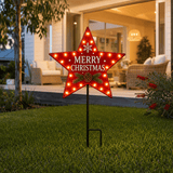 LED Star Stake Light