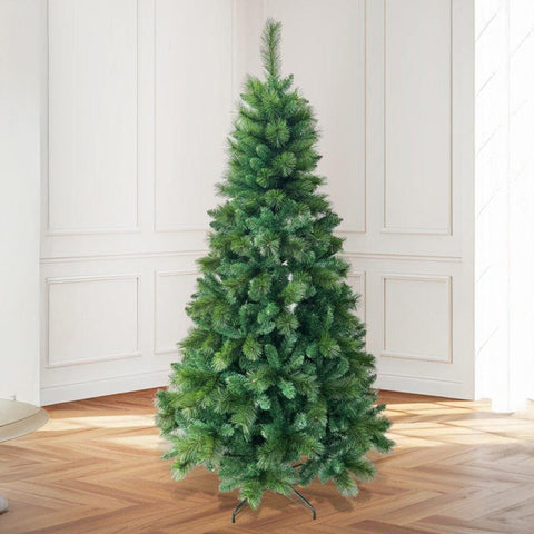 The Royal Heritage Fir Tree 7ft (2.1m)