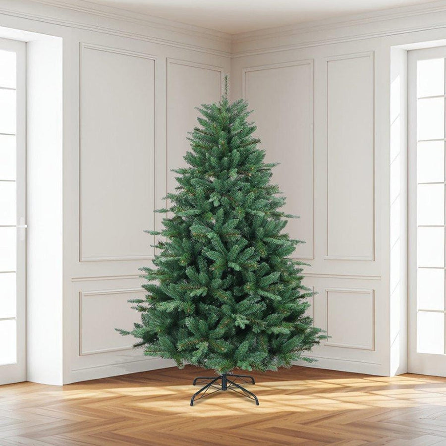 The Royal Highland Noble Fir Tree 7ft (2.1m)