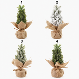 Mini Pine Tree in a Sack (17cm)