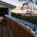 LED 3000 Cluster Lights Cool White styled in an Australian Christmas setting
