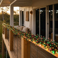 LED 3000 Cluster Lights Christmas styled in an Australian Christmas setting