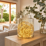 LED 100 Battery Operated Silver Wire Cluster Warm White styled in an Australian Christmas setting